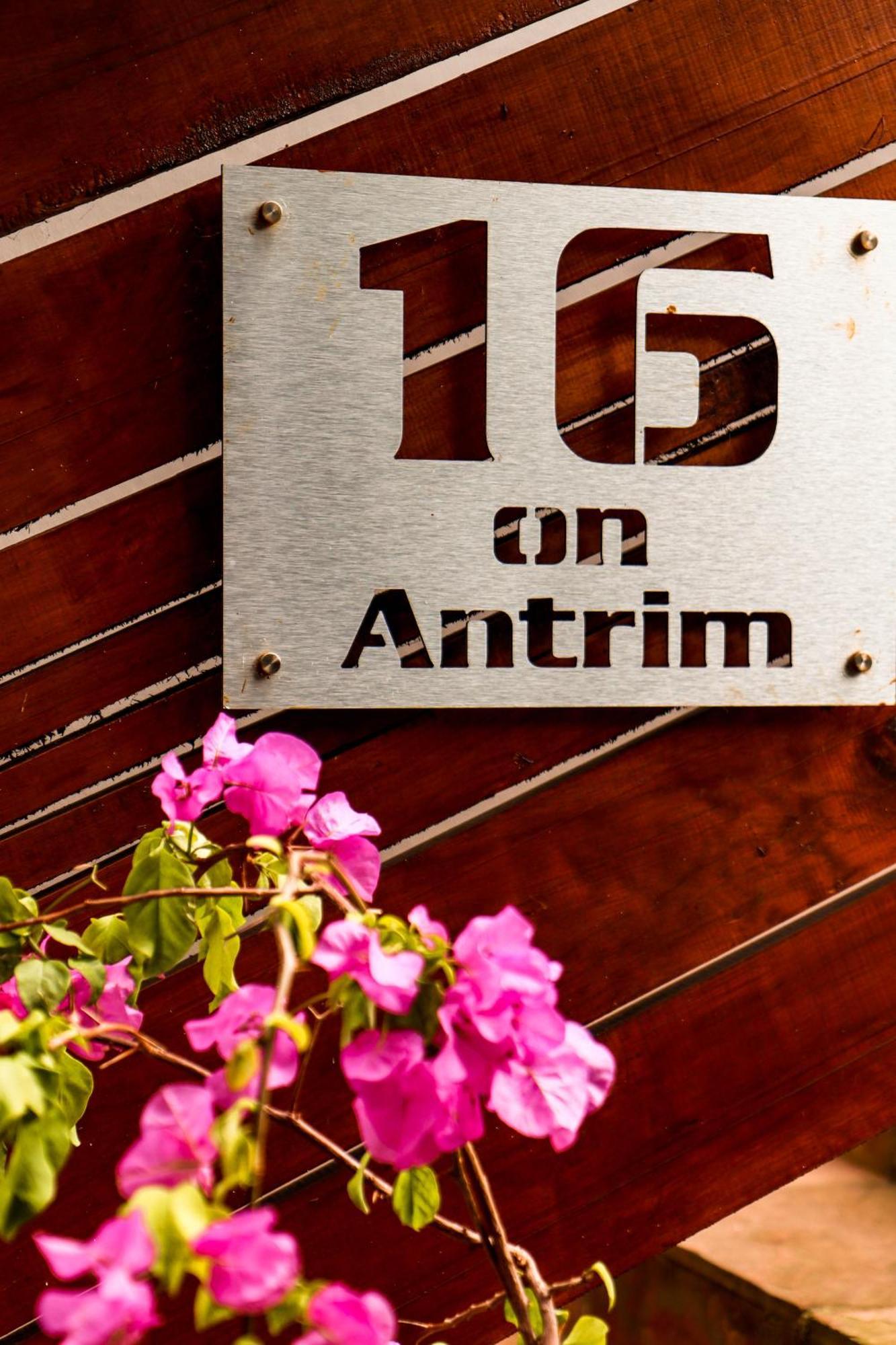 16 On Antrim Lägenhet Hermanus Exteriör bild
